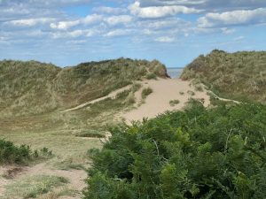 hemsby-dunes