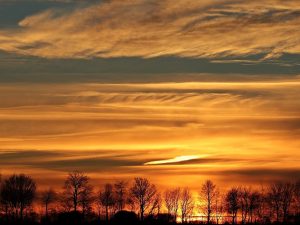sunset-over-the-trees